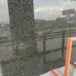 Butterfly Green Granite, High Quality Green Granite Slab