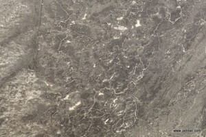 Ferrari grey marble slab with competitive price