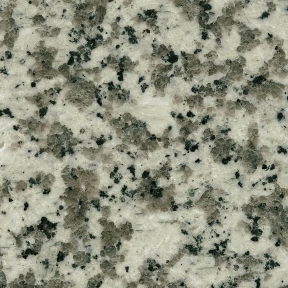 G439 White Flower Granite