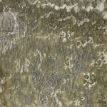 Grey pearl onyx slab and tiles for countertops