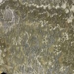 Grey pearl onyx slab and tiles for countertops