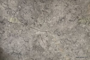 Jordan grey marble slab with competitive price