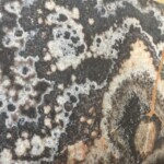 Natural black onyx slab and tiles for countertops