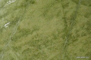 Peak green marble slab with competitive price