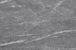 Pisa grey marble slab with competitive price