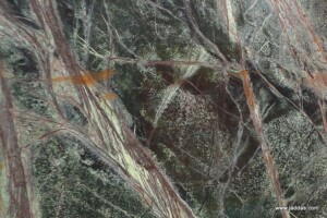 Rainforest brown marble slab with competitive price