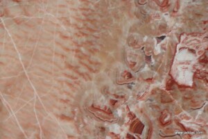 Red onyx slab and tiles for countertops