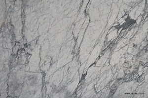 Statuarietto marble slab with competitive price