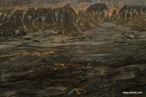 Tarzan marble slab with competitive price