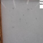 Vietnam diamond white marble slab with competitive price